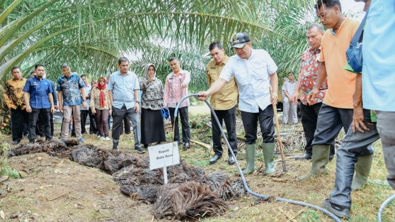 Zahir Kenalkan Pupuk Organik Limbah Sawit : Bisa Jadi Alternatif Atasi Kelangkaan Pupuk