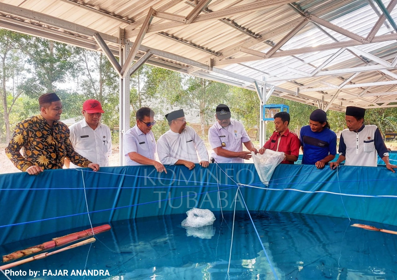 Dinas Perikanan Tubaba Lakukan Penebaran Benih di Kolam Bioflok Ponpes Darurrohman