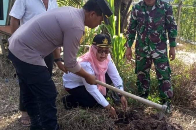 Lakukan Penghijauan, Forkopincam Tanjung Beringin Tanam Pohon Bersama