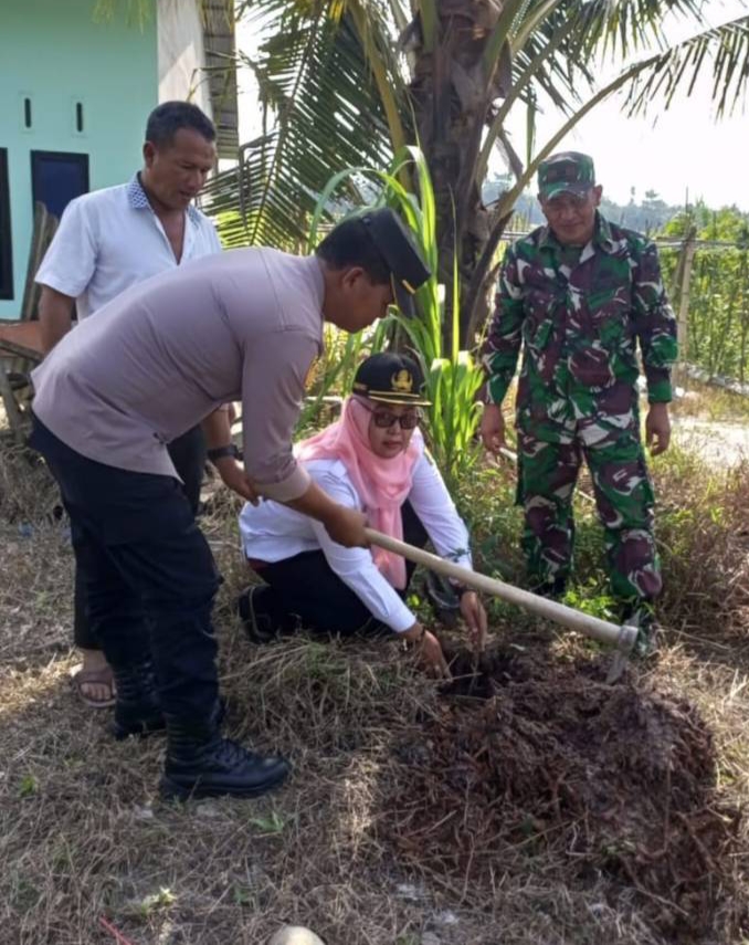 Lakukan Penghijauan, Forkopincam Tanjung Beringin Tanam Pohon Bersama