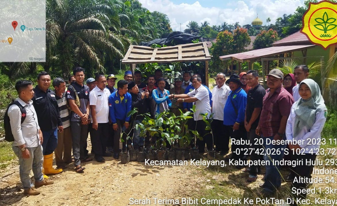 Distankan Inhu Serahkan Bantuan 11.436 Ribu Bibit Tanaman Buah Kepada Kelompok Tani 