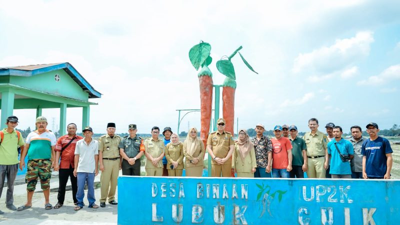Pj. Bupati Batu Bara Nizhamul Tinjau Kawasan Sentra Cabai Lubuk Cuik