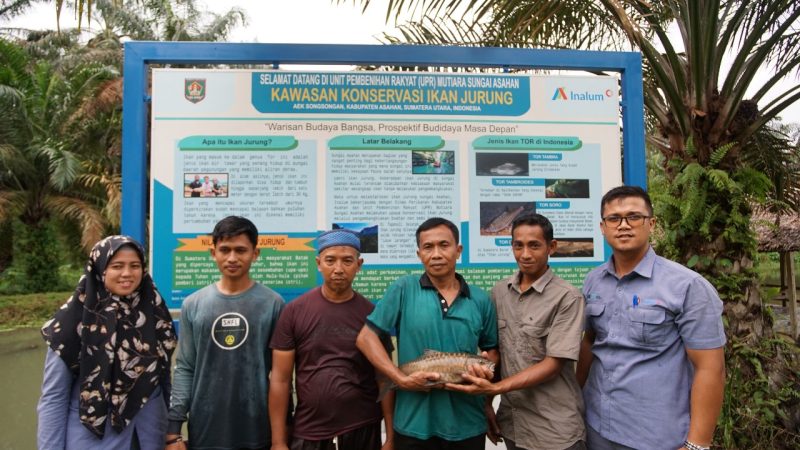 INALUM Lakukan Budidaya Ikan Dewa “Jurung” Asahan Hingga 2025