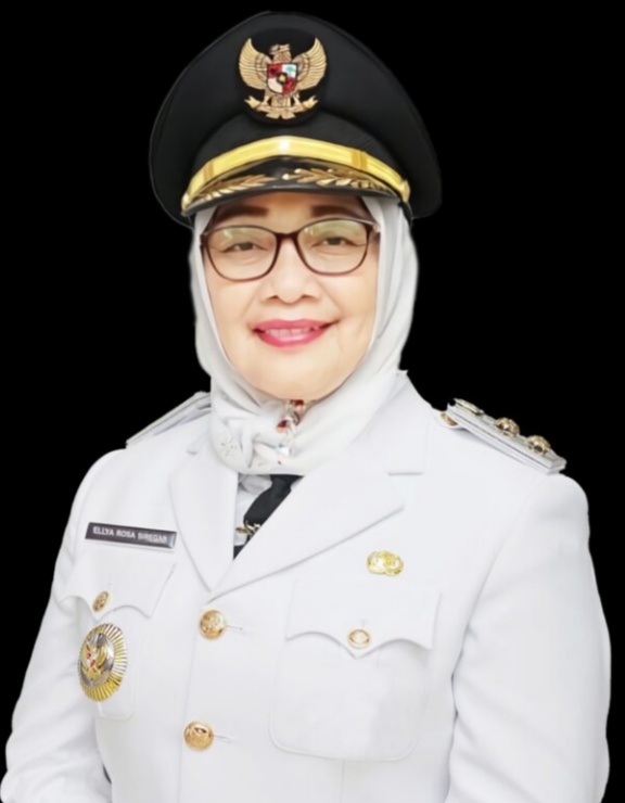 Hj.Ellya Rosa Siregar Jadi Plt Bupati Labuhanbatu
