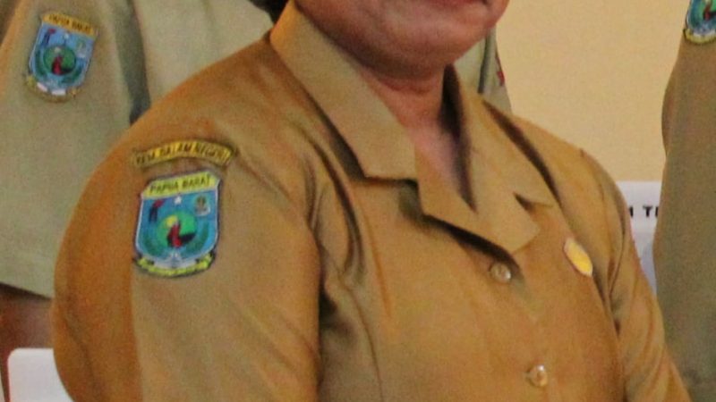 Formasi CPNS dan PPPK Tahun 2021 dan 2024 Siap di Buka, Pemda Sorong Selatan Dapat Kuota Keseluruhan 1220, Pencaker diminta Siapkan Diri