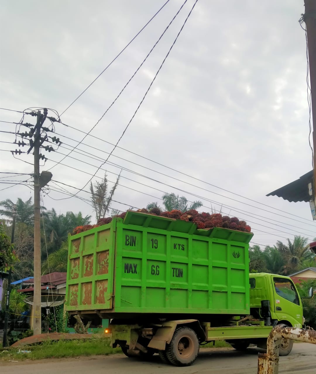 Warga MengeluhKan Mobil Dump Truk PT.Perkebunan RSK Grup Asian Agri Yang Bebas Melintas Tanpa Jaring Pengaman Di Jalan Propinsi