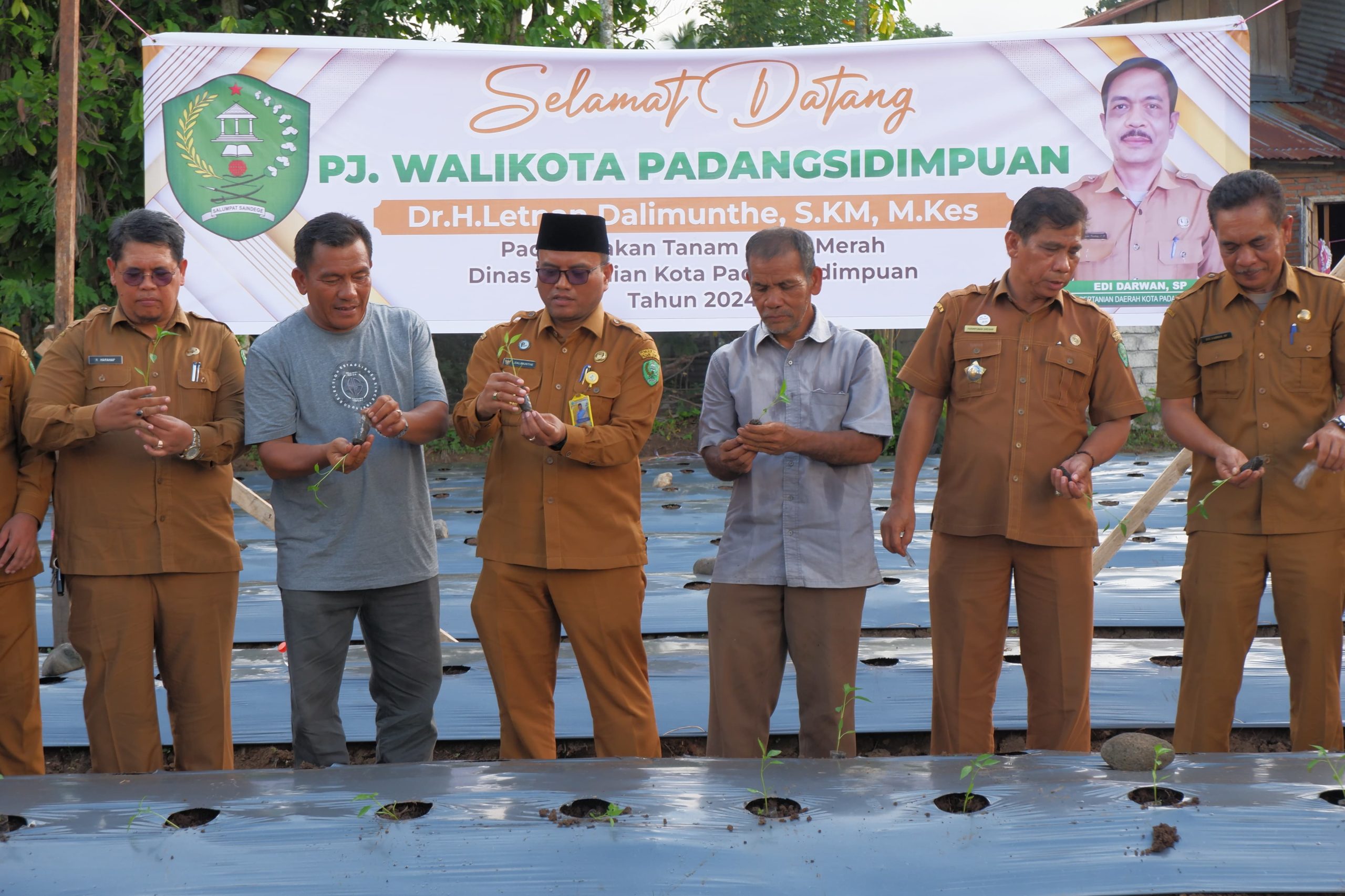 Pj. Walikota Letnan Kendalikan Inflasi Pangan Daerah dengan Tanam Cabai 10 Ha Melalui Gapoktan