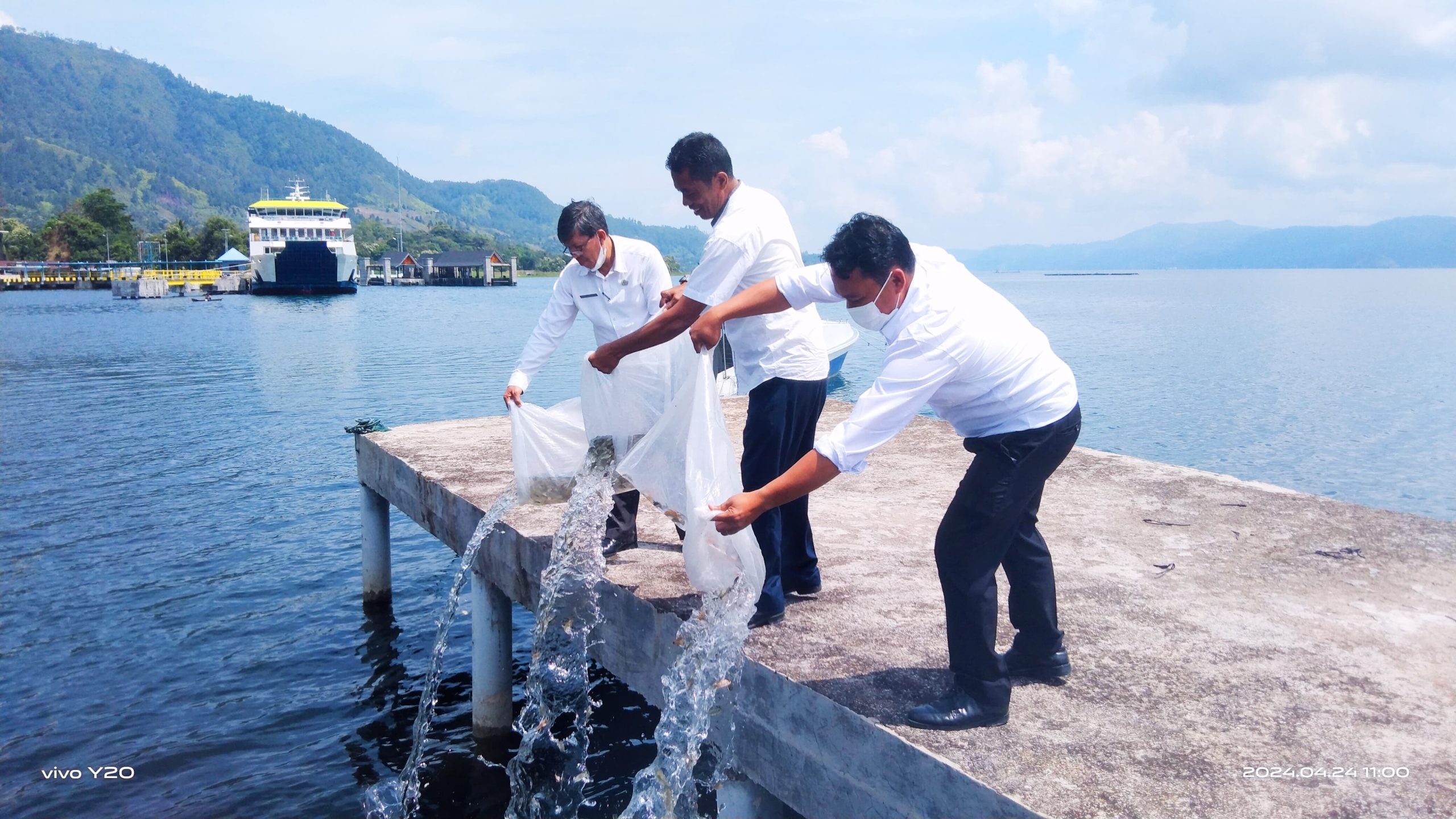 DKP Provsu bersama Dinas Ketapang dan Pertanian Samosir Tebar 30.000 Ekor Benih Ikan Nila di Perairan Danau Toba