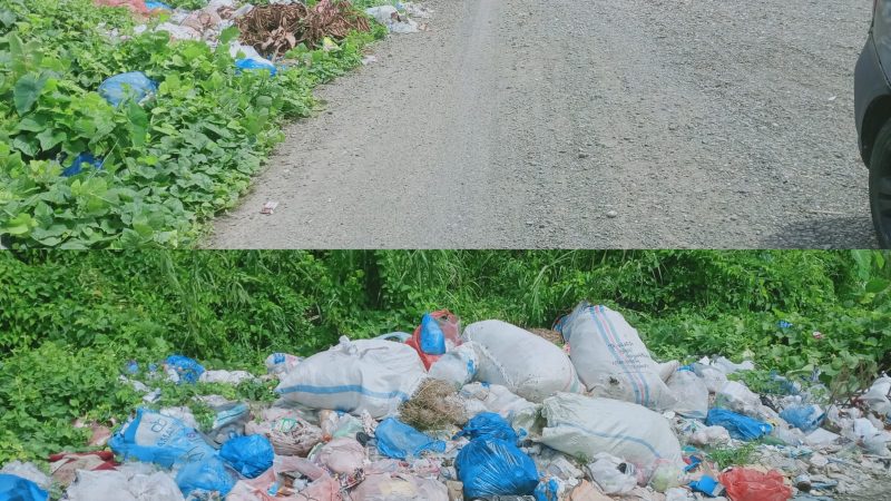 Tumpukan Sampah di Pinggir Jalan Blang Pulo Gampong Ujong Kalak Resahkan Pengguna Jalan