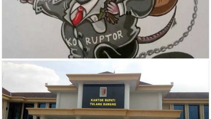 Dua Kegiatan Pengadaan Pada Setdakab Tuba T.A 2024 Diduga Dikerjakan Oleh Kabag Kesra