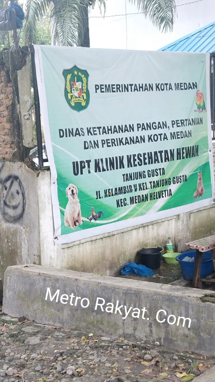 Pekerjaan Rehab Kantor UPT Klinik Kesehatan Hewan Tanjung Gusta Belum Terlaksana