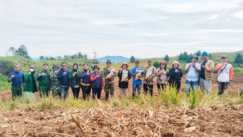 Pemkab Samosir Lakukan Penanaman Perdana Padi Gogo Bersama Poktan St. Adrianus Peajolo Desa Maduma