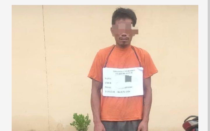 Meresahkan, Maling Sawit diamankan Polsek Bilah Hilir