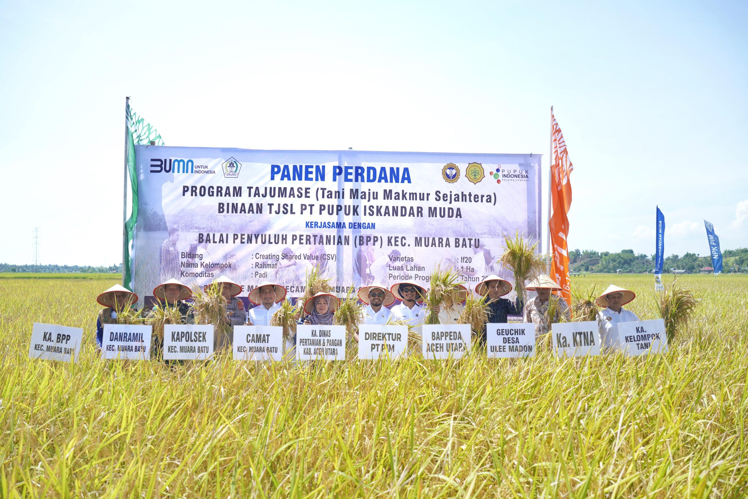 PT PIM Gelar Panen Padi Perdana di Aceh Utara Dukung Ketahanan Pangan Nasional