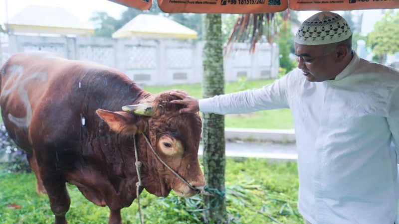 Paabowo Kurban Lembu 1 Ton ke Mesjid Raya Al Mashun Medan
