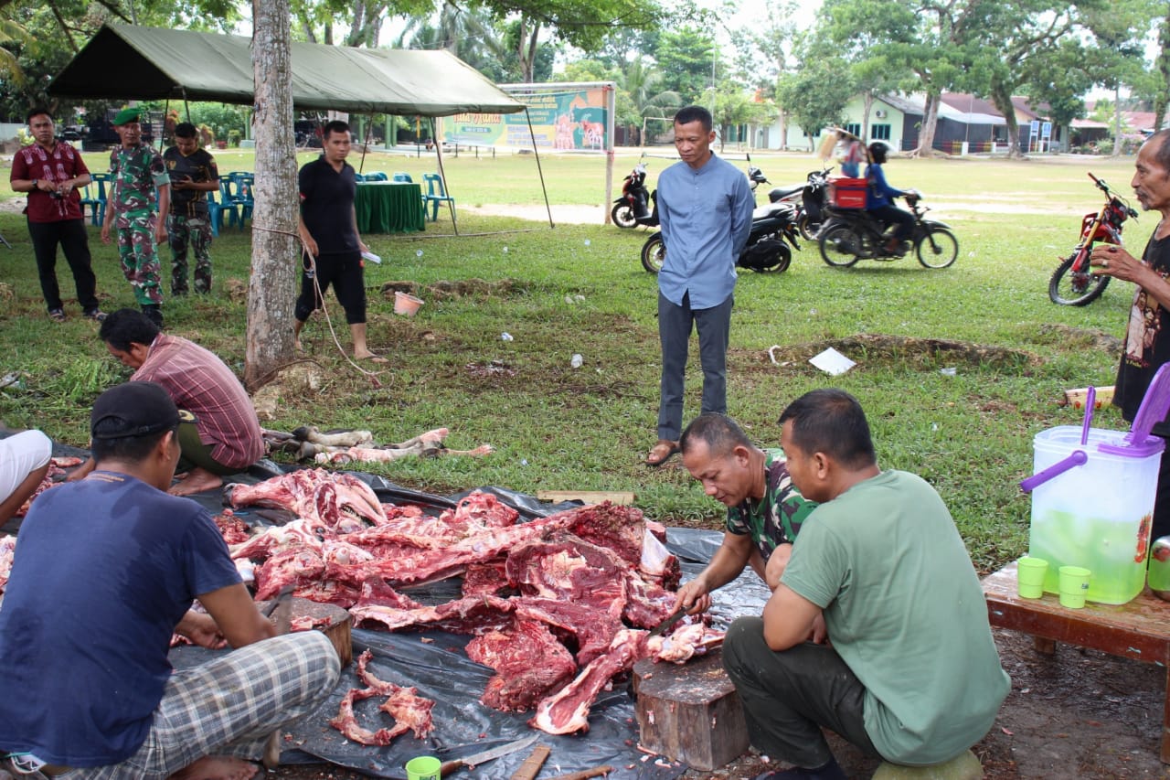 Hari Raya Idul Adha 1445 Hijriah, Kodim 0209/LB Sembelih 9 Ekor Hewan Qurban