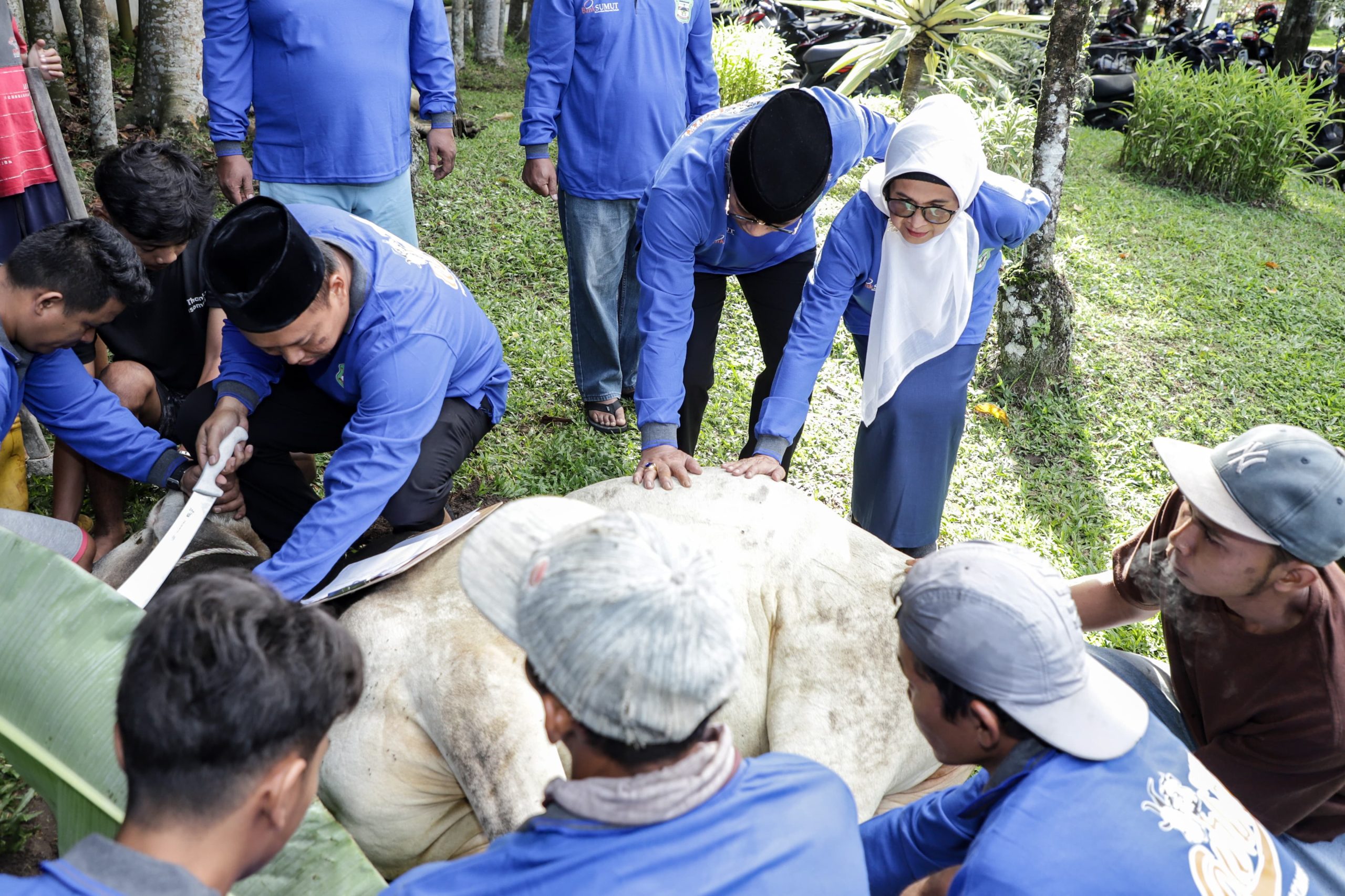 Hari Raya Idul Adha 1445 H/2024 M, Pemko Pematangsiantar Sembelih Hewan Kurban 7 Ekor Sapi