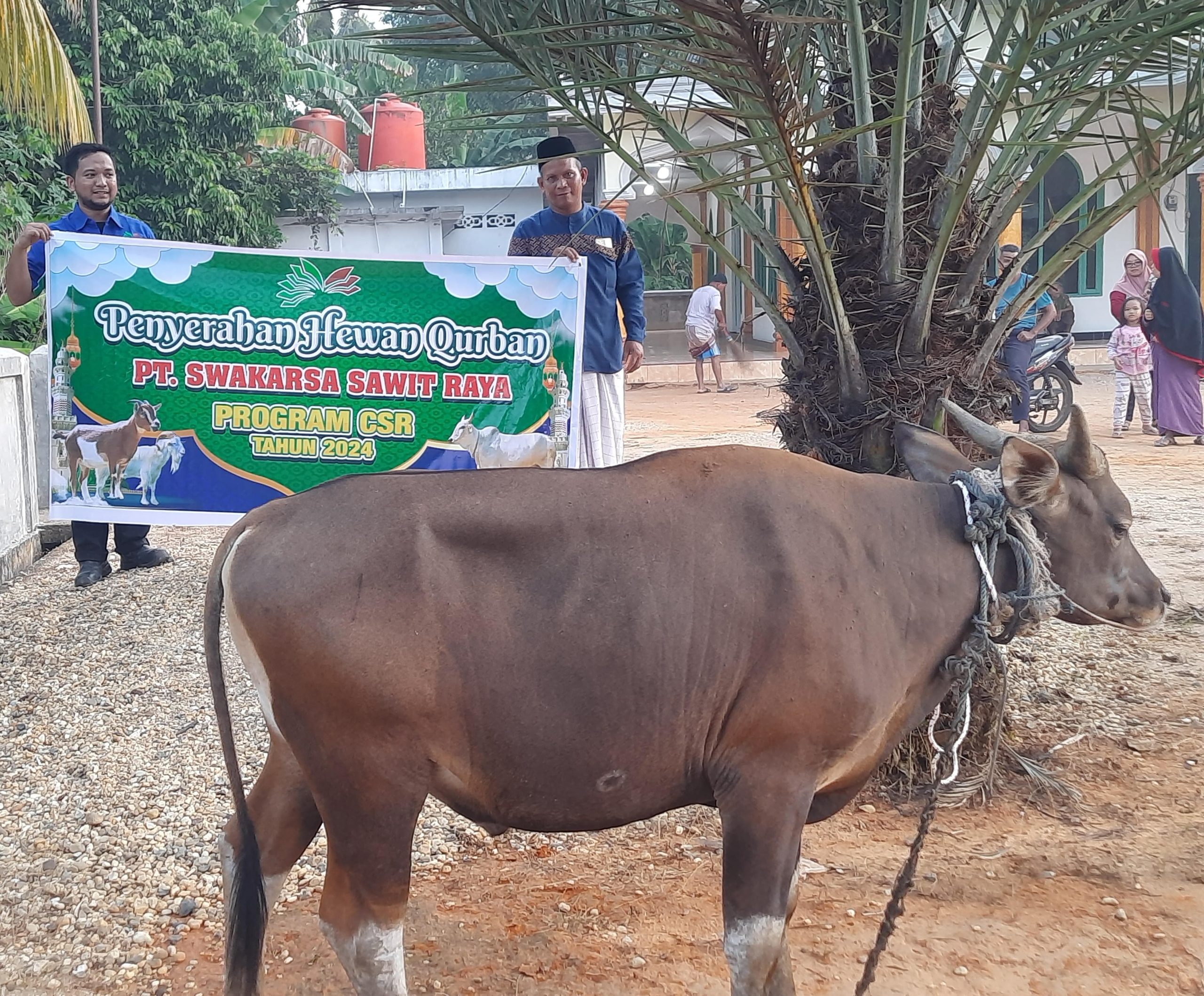 Perkuat Silaturahmi, PT. SSR Salurkan Hewan Qurban