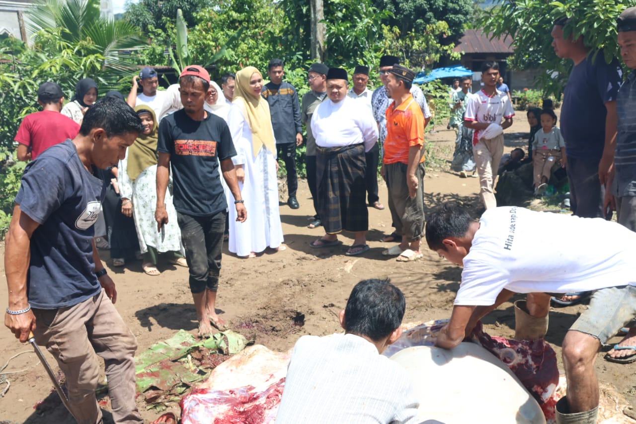 Bupati Dolly Pasaribu Bersama Ketua TP PKK Tapsel Tinjau Tiga Lokasi Pemotongan Hewan Kurban