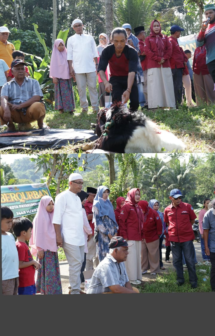 Pj Wali Kota Payakumbuh Ikut Kurban Bersama Masyarakat Tangah Padang Kelurahan Balai Panjang