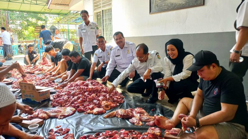 Iduladha Tahun 2024, PUD Pasar Medan Sembelih 11 Ekor Sapi dan 2 Ekor Kambing