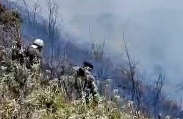 Perihal Kebakaran Savana Gunung Bromo,TNBTS Jelaskan Kronologinya