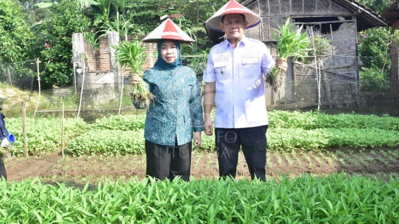 Penilaian Lomba Administrasi PKK, Posyandu dan K3W, lebih kepada pembinaan kepada PKK Kecamatan dan Tiyuh