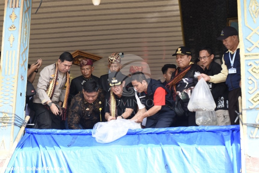 Kunker Ke Tubaba, Gubernur Arinal Lakukan Restocking Ikan Di Sungai Way Kiri Pagar Dewa