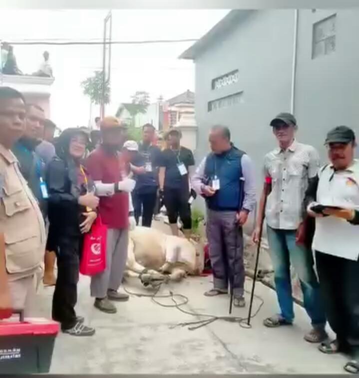 Melalui DPP, Pemko Bukittinggi Terus Melakukan Pengawasan Pendataan dan Pemeriksaan Hewan Kurban Idul Adha 1445 H