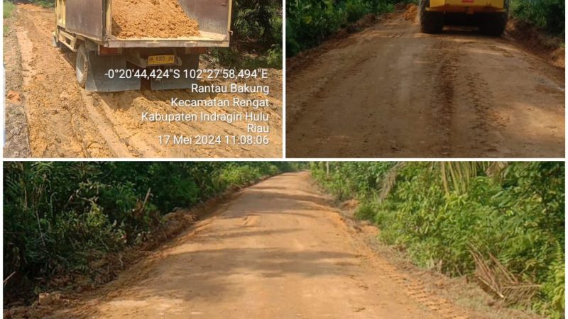 Permudah Mobilitas Petani, Pemdes Rantau Bakung Bangun Jalan Usaha Tani