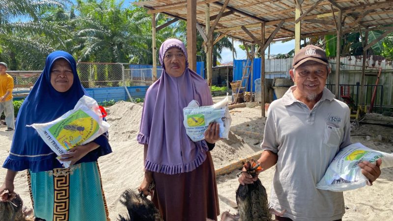 Mitra Binaan INALUM, Kelompok Tani Sari Larva Berdaya Sebarkan Manfaat Untuk Masyarakat Sekitar