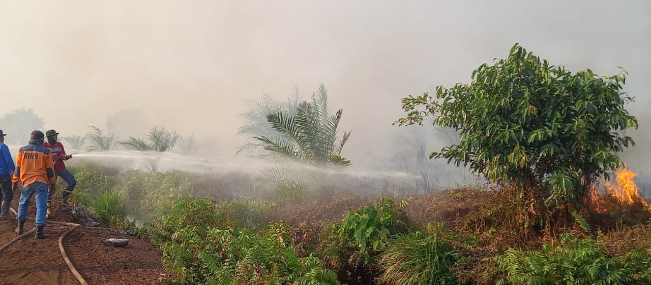 Di Inhu Kebakaran Lahan Makin Meluas, Tim Gabungan dan  3 Helikopter Water Bombing Dikerahkan Padamkan Api