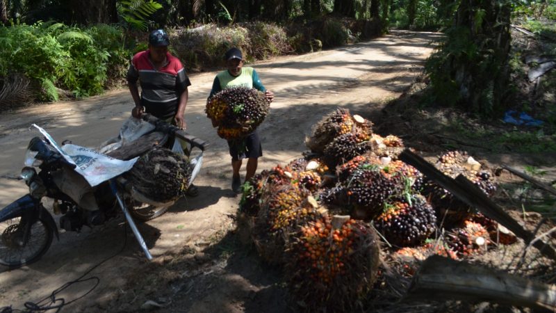 Program TMMD ke-121 Kodim 0204/DS Berikan Dampak Positif dan Signifikan