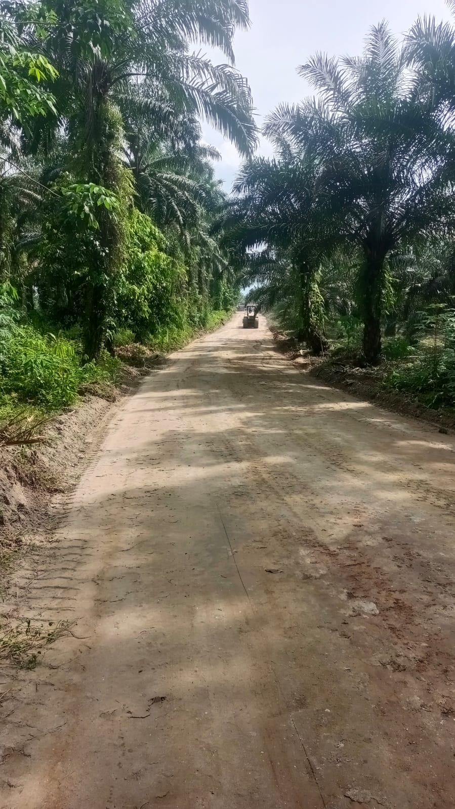 Pembangunan Jalan TMMD Juga Berfungsi untuk Kepentingan Pertahanan Negara