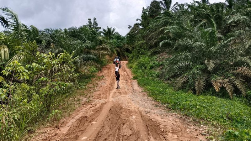 Sudah 2 Km Dibuka, Satgas TMMD ke-121 Kodim 0204/DS Terus Kebut Pembangunan 3,4 Km Jalan Pertanian