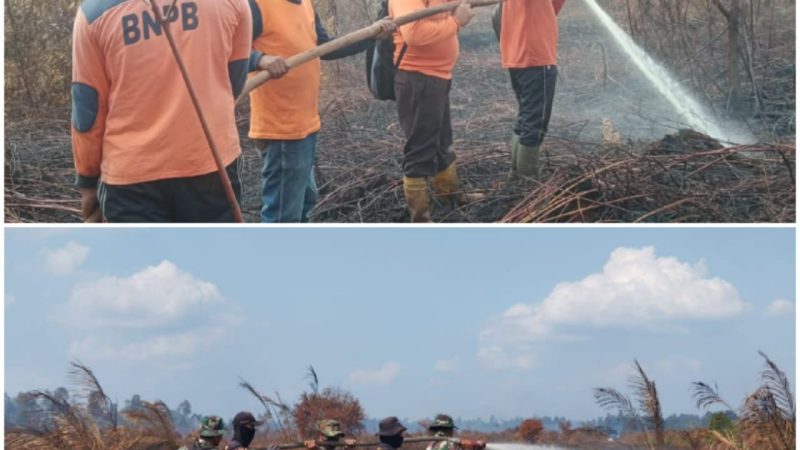 Tim Gabungan Inhu Masih Berjuang Padamkan Api dan Pendinginan 