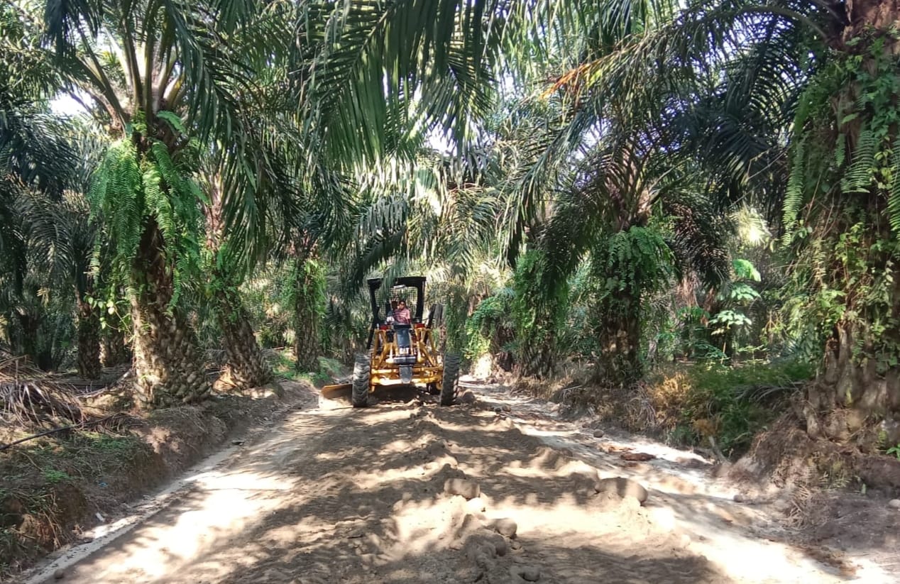 Buka Akses Jalan Pertanian, TMMD 121 Kodim 0204/DS Hidupkan Asa Petani Sawit di Desa Rumah Sumbul