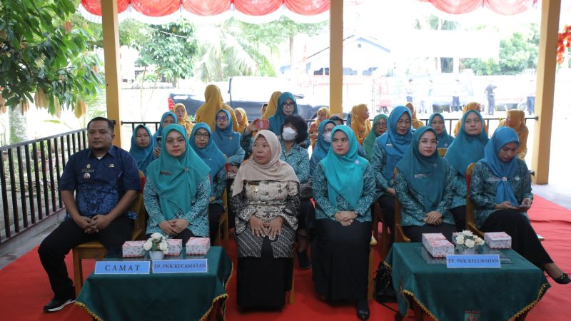 Masuk 6 Besar Lomba UP2K PKK Tingkat Provsu, Tim Evaluasi PKK Sumetera Utara Kunjungi Kelurahan Sentang