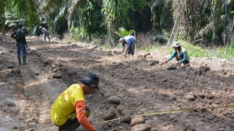 Bangun Jalan, Satgas TMMD 121 Kodim 0204/DS Tetap Jaga Konsistensi