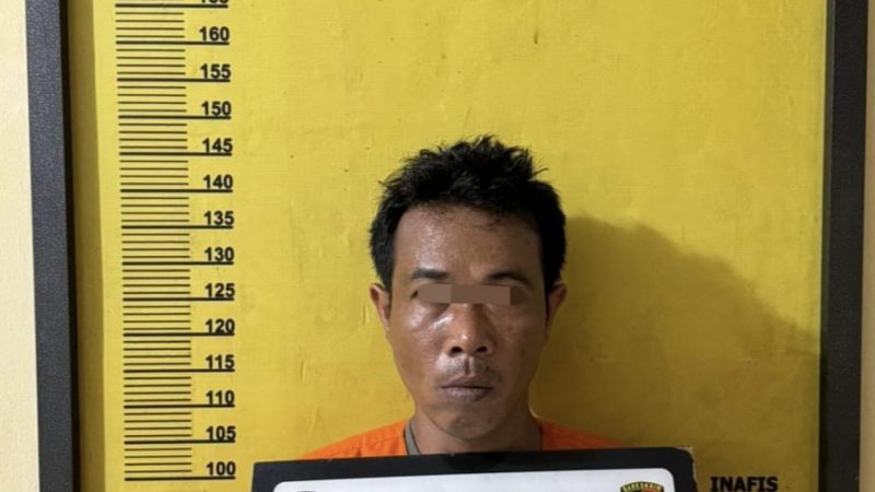 Polsek Peranap Inhu Tangkap Pemilik Sabu,13 Paket di Amankan 