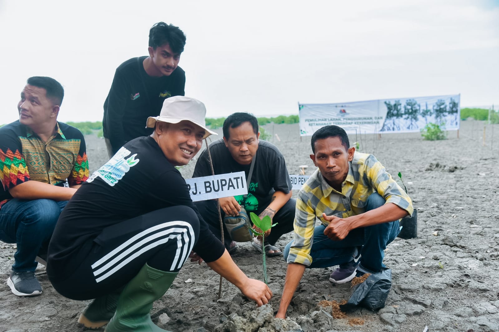 Peringati Hari Lingkungan Hidup, Pj. Bupati Batu Bara Tanam 1000 Mangrove di Pantai Sujono