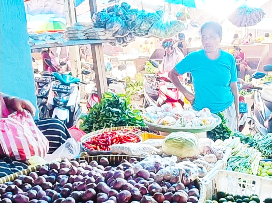 Masyarakat Teluk Bintuni Harapkan Pilkada 2024 Jadi Momentum Perbaikan Politik