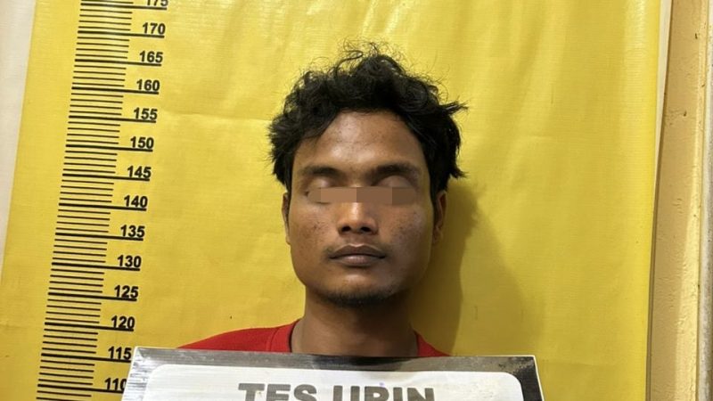 Maling Sawit Diareal Kebun Perusahaan Kembali Ditangkap Positif Nyabu