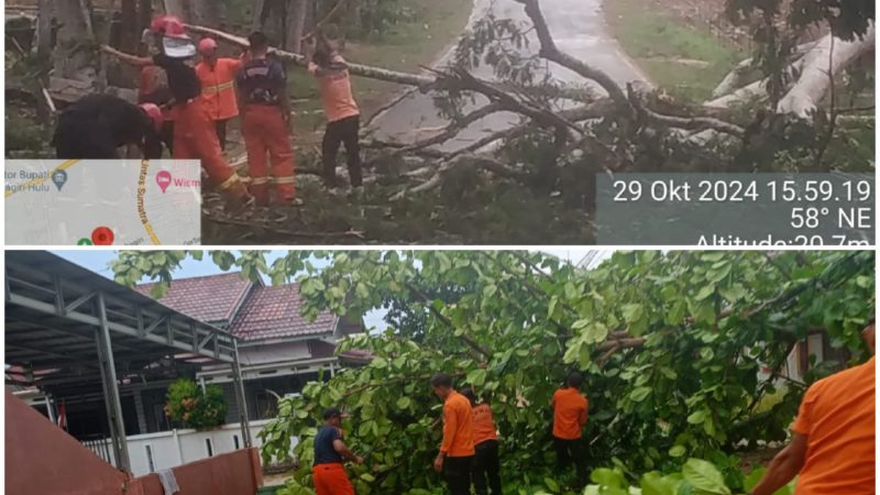 Hujan Deras Disertai Angin Kencang, Sejumlah Pohon Tumbang