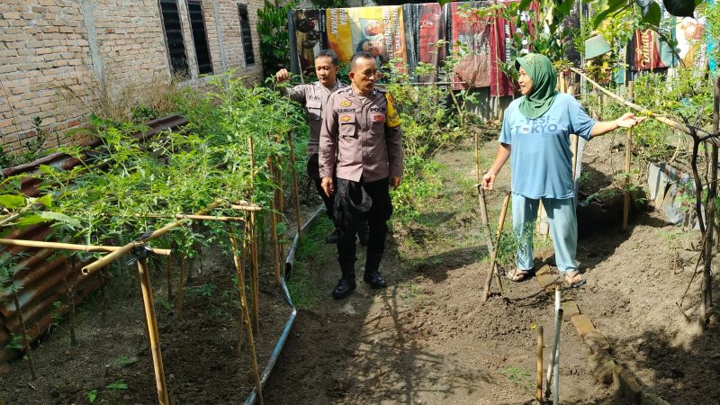 Dukung Ketahanan Pangan Bhabinkamtibmas Kelurahan Basorma Ajak Warga Manfaatkan Pekarangan Rumah