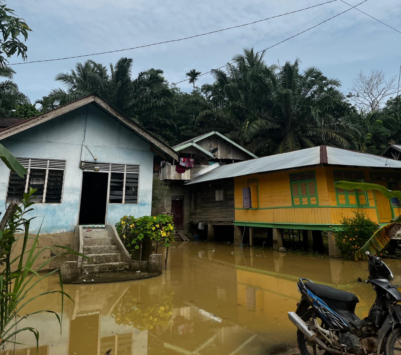 Desa Stako Raya Inhu Banjir Akibat Curah Hujan Tinggi 