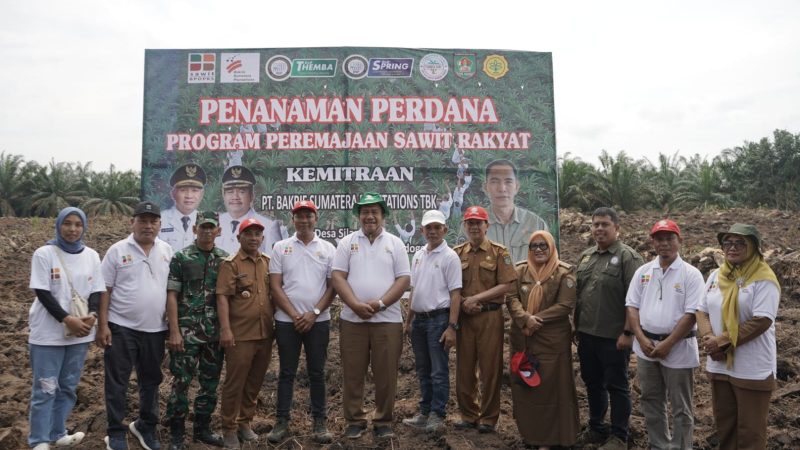Wakil Bupati Asahan Ikuti Penanaman Perdana Program PSR