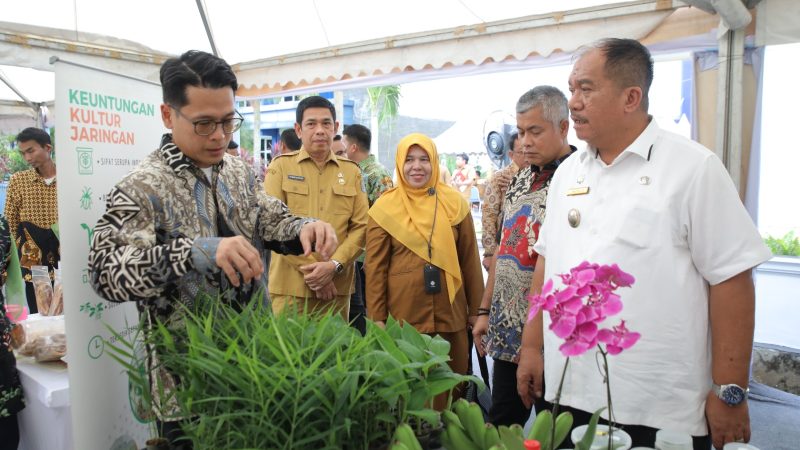 Wakil Bupati Asahan Ikut Tinjau Job Fair Pemprov Sumut