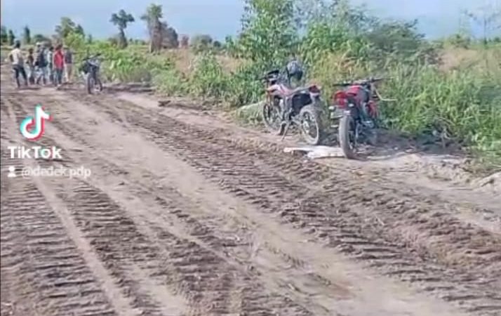 Tercium Bau Tak Sedap Diduga Kebun Plasma Perusahaan Hanya Formalitas Di Kabupaten Nagan Raya