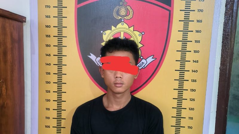 Sat Reskrim Polres Sergai Berhasil Tangkap Pelaku Pencurian Berkedok Tukang Botot
